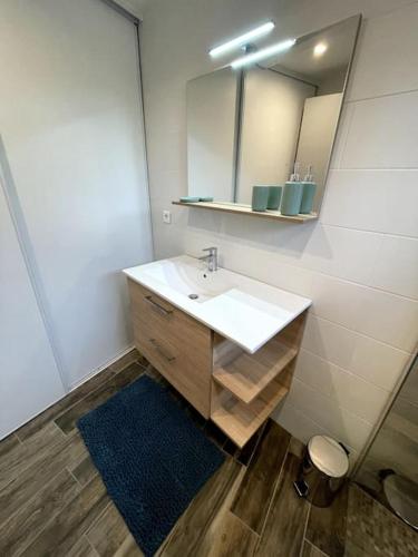 une salle de bain avec un lavabo et un miroir dans l'établissement Jolie maison dans un quartier très calme, à Martignas-sur-Jalle