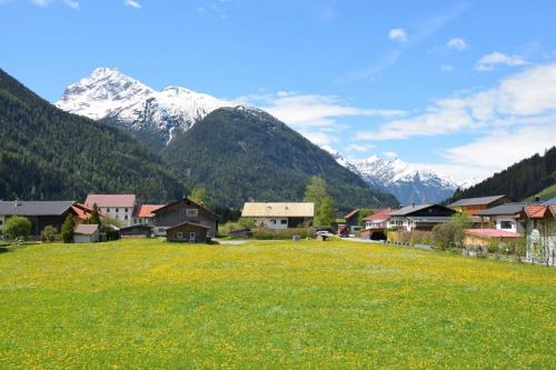a green field with houses and mountains in the background at Haus Kohler in Häselgehr