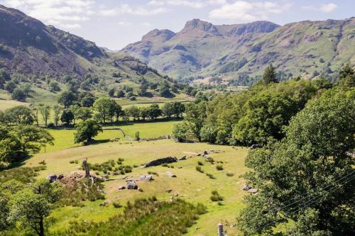 a field with cows in a valley with mountains at Langdale Boulders, Ambleside, Fantastic views in Chapel Stile