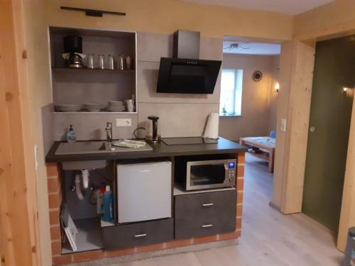 - une cuisine avec un comptoir et un four micro-ondes dans l'établissement Am Eulenwald, à Marpingen