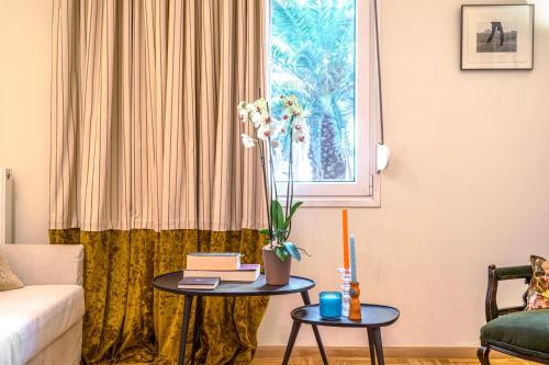 Renovated Kallimarmaro Apt in Athens Historic center