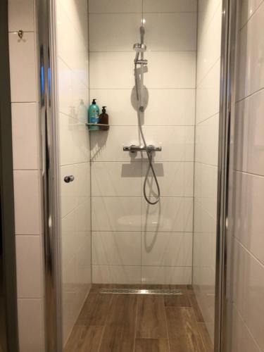 een douche in een badkamer met een glazen deur bij triphousing red in Schalkwijk