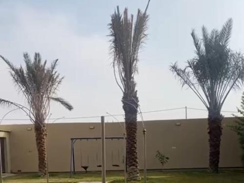 two palm trees in front of a building with a basketball hoop at الكوخ الريفي in Al Majma'ah