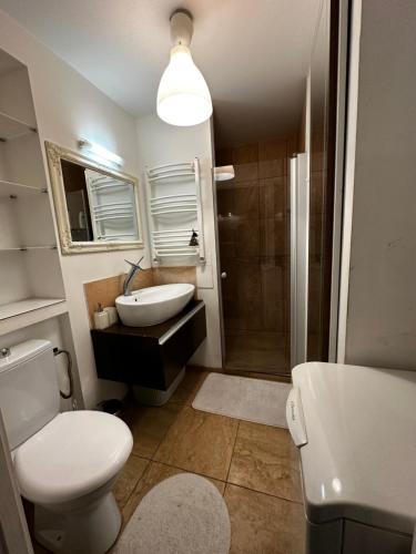 a bathroom with a toilet and a sink and a shower at Cosy apartment in Kaunas