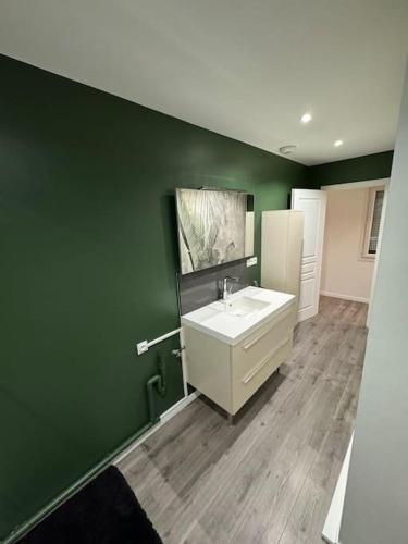 a bathroom with a sink and a green wall at Appartement cosy à louer in Berck-sur-Mer