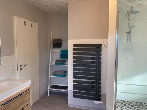 W łazience znajduje się kabina prysznicowa i umywalka. w obiekcie Harzträume No2 Französische Kommandantur w mieście Wernigerode