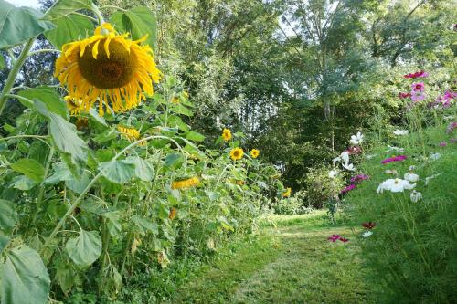 Un jardín fuera de Green Home - La Roche-Guyon - Adults Only