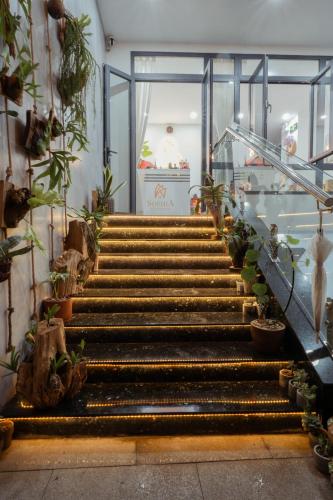 a set of stairs with potted plants at The Sophia Apartment - Thao Dien Central in Ho Chi Minh City