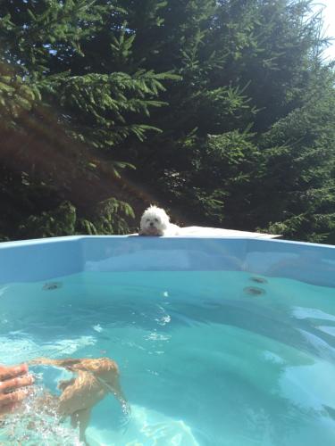 Billede fra billedgalleriet på Casa de Vacanta Saru Dornei i Şarul Dornei