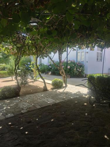 Fotografie z fotogalerie ubytování Real Santo António Guest House v destinaci Tarouca