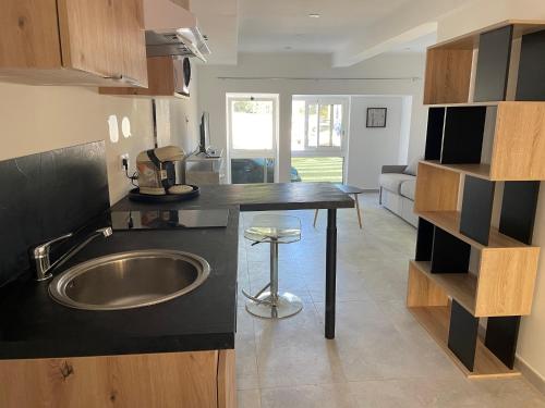 une cuisine avec un évier et un comptoir dans l'établissement NEGRIN, à Cannes