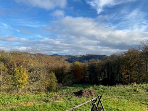 ein Feld mit einem Zaun auf einem Feld mit Bäumen in der Unterkunft Ferienhaus auffm Hebberg in Attendorn