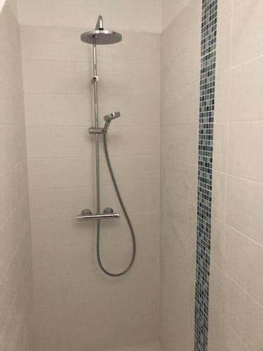 une douche avec pommeau de douche dans une salle de bain dans l'établissement Agen hyper centre - Gîte 60m² avec piscine chauffée, à Agen