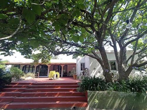 a building with a tree and stairs in front of it at La Casona de Aime, Habitaciones privadas con Desayuno in Punta del Este
