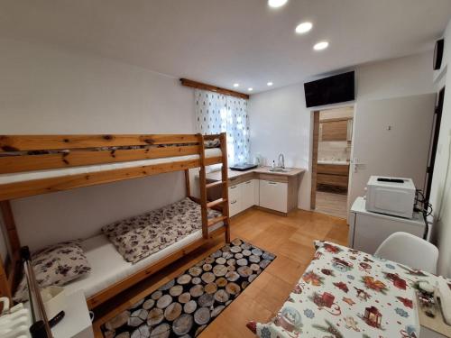 ein kleines Zimmer mit einem Etagenbett und einer Küche in der Unterkunft Privat Tatry Dreams in Nová Lesná