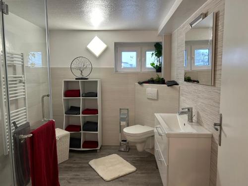a bathroom with a toilet and a sink at Kleine Elbequelle 2 in Wolfhagen