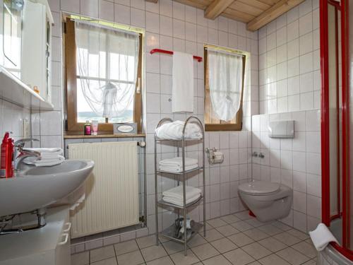 La salle de bains est pourvue de toilettes et d'un lavabo. dans l'établissement Bio-Kinderbauernhof Wilmershof, à Titisee-Neustadt