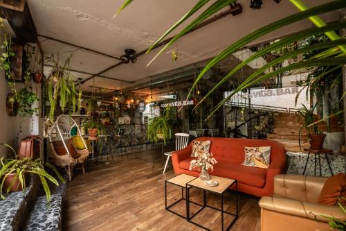 una habitación llena de plantas y un sofá rojo en Rooms Vita, en Granada