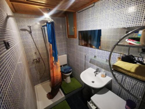 a bathroom with a sink and a shower and a toilet at High Sky Apartment in Budapest