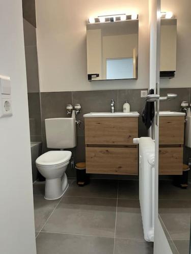 a bathroom with a toilet and a sink and a mirror at Isaak Appartement Harmonie in Küssaberg