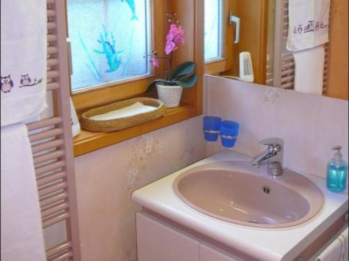 een badkamer met een wastafel en een raam bij Birkli 2, 2 Bett Wohnung in Wengen