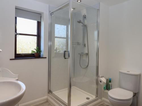 a bathroom with a shower and a toilet and a sink at Dairy Cottage in South Molton