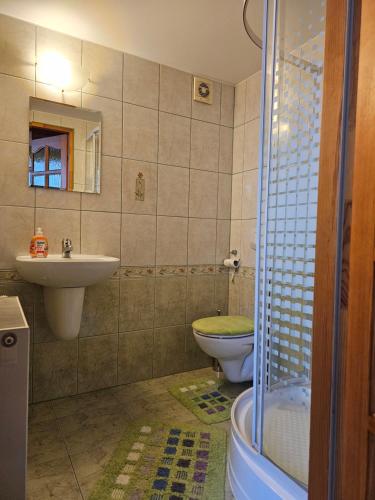 Villa Pandora - Zakopane Centrum في زاكوباني: حمام مع حوض ومرحاض ودش