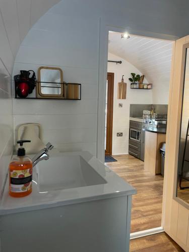 a kitchen with a sink and a counter top at Highland Stays - The Oaks Studio Pod in Fort William