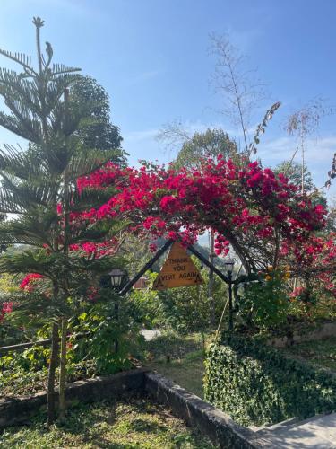 Jardín al aire libre en Himalaya Serene View Guest House & Farm Stay
