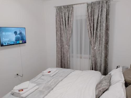 a bedroom with a bed with a tv on the wall at Apartman Dve lipe in Palić