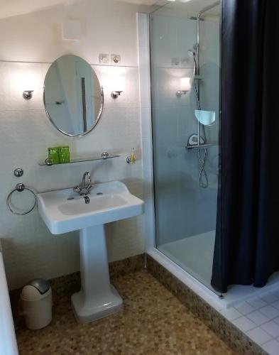 une salle de bain avec un lavabo et une douche avec un miroir dans l'établissement Domaine des Tonneaux, à Jarnac-Champagne