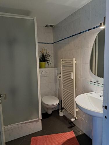 La salle de bains est pourvue de toilettes et d'un lavabo. dans l'établissement BC Studios, à Blankenberge