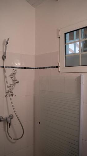 a bathroom with a shower and a window at Villa HAVRE DE PAIX in Le Gosier