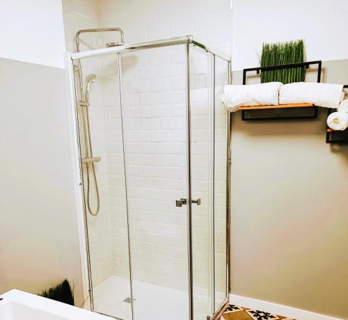 een douche met een glazen deur in de badkamer bij Apartamento 21 Verdejo in Novelda