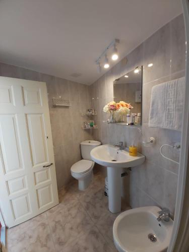 a bathroom with a sink and a toilet and a mirror at ALOJAMIENTO TURISTICO LAS SOLANERAS in Solana del Pino
