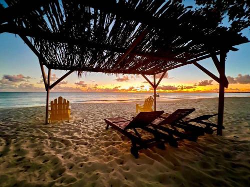 a beach with chairs and a straw umbrella and the ocean at Barbuda Cottages in Codrington Village