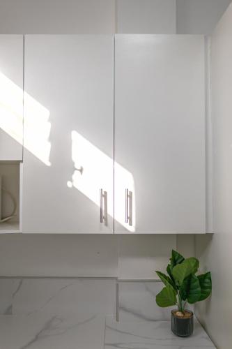 a kitchen with white cabinets and a potted plant at Casa Valencia 6 in Santa Elena