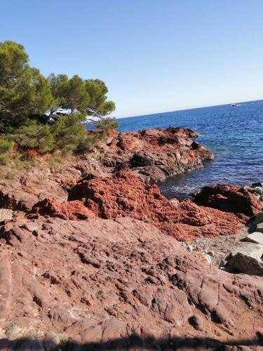 un littoral rocheux avec des arbres et l'océan dans l'établissement Maison de vacance - Frejus, à Fréjus