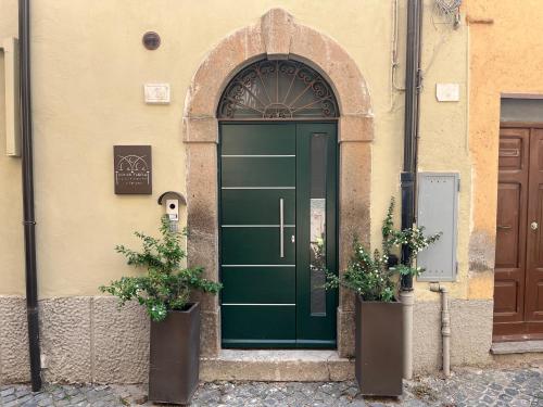 eine grüne Tür eines Gebäudes mit zwei Topfpflanzen in der Unterkunft DOMUS TUSCIA APARTMENTS Via Estrema 2 in Viterbo