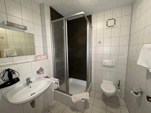 a bathroom with a shower and a sink and a toilet at Gartlacher Hof in Eiselfing