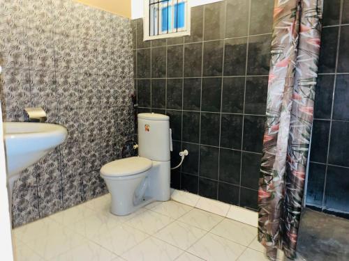 a bathroom with a toilet and a sink at Winston Dutch Canal Villa Guest House in Negombo