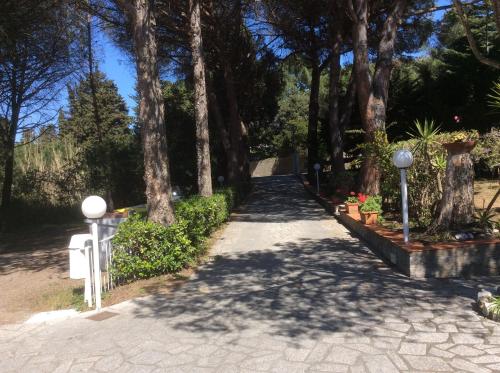 Gallery image of Hotel Edera in Procchio