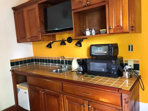 a kitchen counter with a sink and a microwave at Bamboleo Inn in Belize City