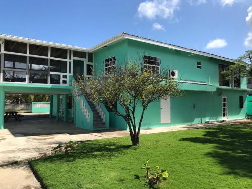 a green building with a tree in the yard at Bamboleo Inn in Belize City