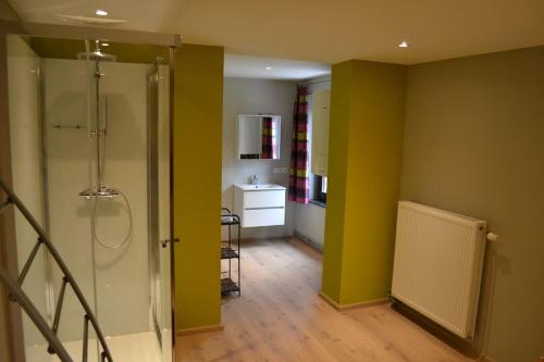 baño con paredes verdes y ducha. en Gîte Blanc Bleu Sauna et jacuzzi privatif borne de recharge, en Rochefort