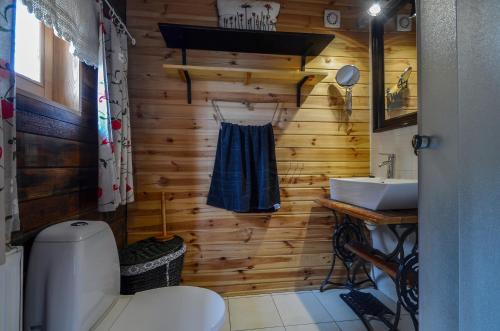 a bathroom with wooden walls and a toilet and a sink at Domki na Polach Piwniczna-Zdrój in Piwniczna