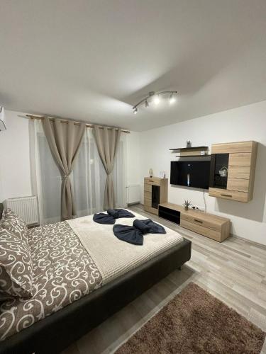 una camera con letto e TV a schermo piatto di DAI Home a Braşov