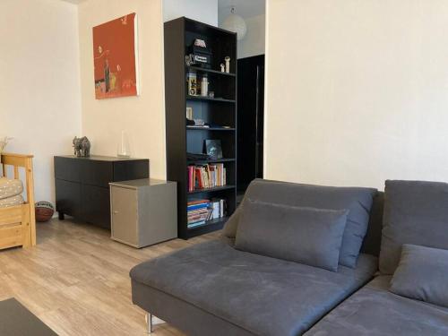ein Wohnzimmer mit Sofa und Bücherregal in der Unterkunft Appartement au centre-ville, proche marais in Bourges