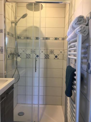 une salle de bain avec une douche avec une porte vitrée dans l'établissement Chez Loulou, à Léon
