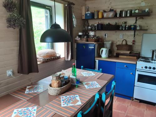 a kitchen with a table and a blue refrigerator at MAGIC MOUNTAIN in Žabljak